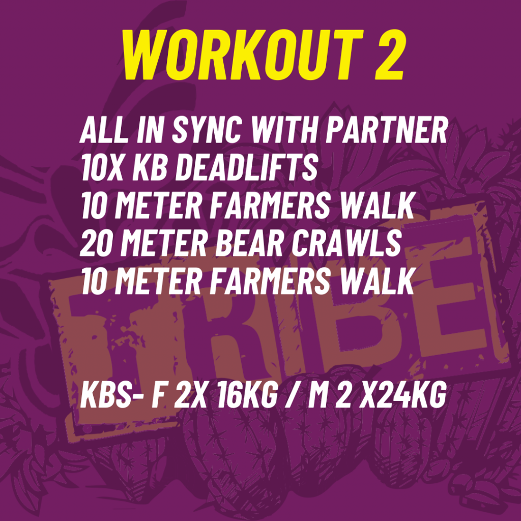 Workout 2, Tribe Games, Trowbridge